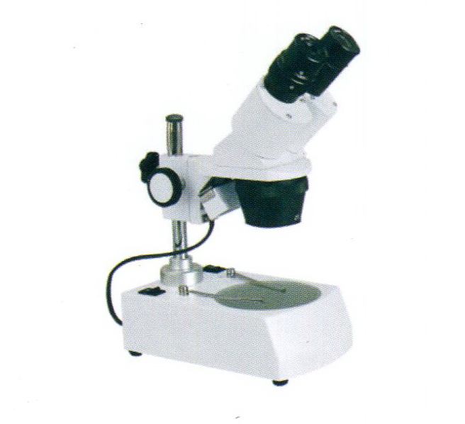 Willdone XTX-3 : stereo microscope : กล้องจุลทรรศน์แบบสเตอริโอ