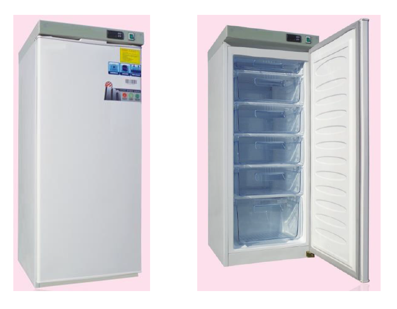 Upright Freezer : ตู้แช่แข็ง